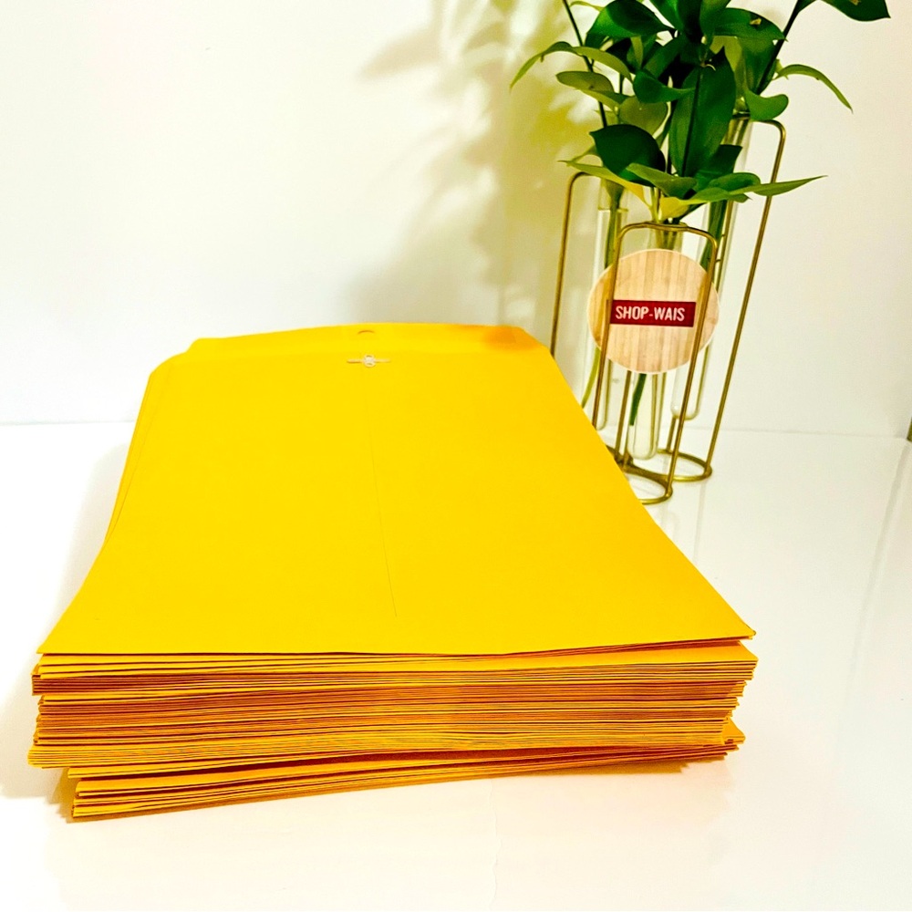 Amazon Basics Clasp Kraft Envelopes, Gummed Mailing Envelope, 9 x 12 inch, 80pcs